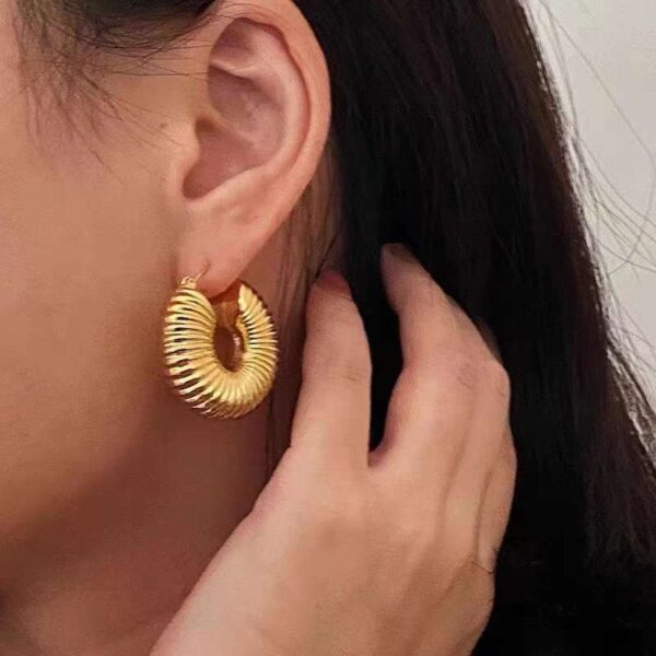 Hook Earrings